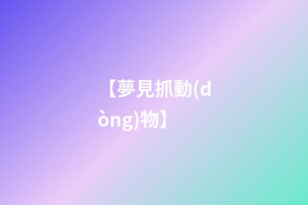 【夢見抓動(dòng)物】