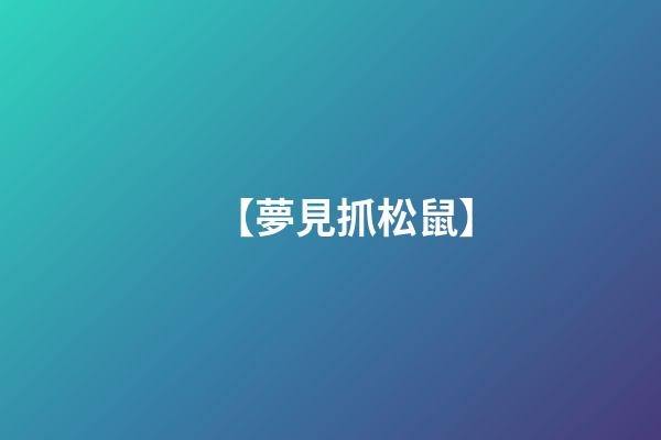 【夢見抓松鼠】