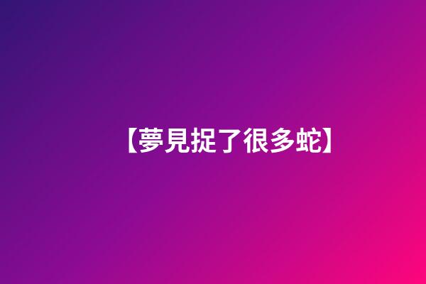 【夢見捉了很多蛇】