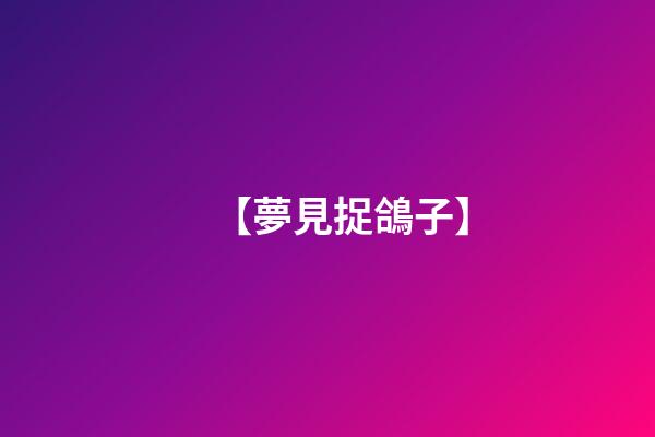【夢見捉鴿子】