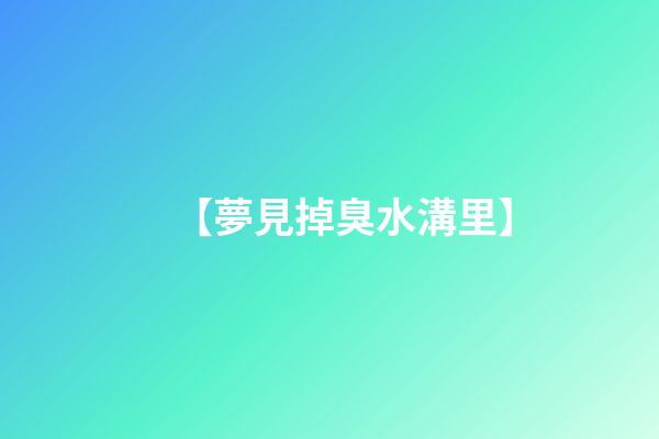 【夢見掉臭水溝里】