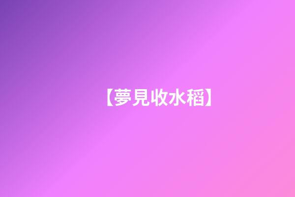 【夢見收水稻】