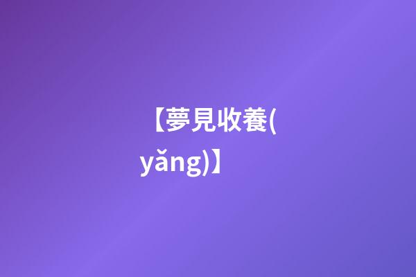 【夢見收養(yǎng)】