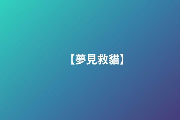 【夢見救貓】