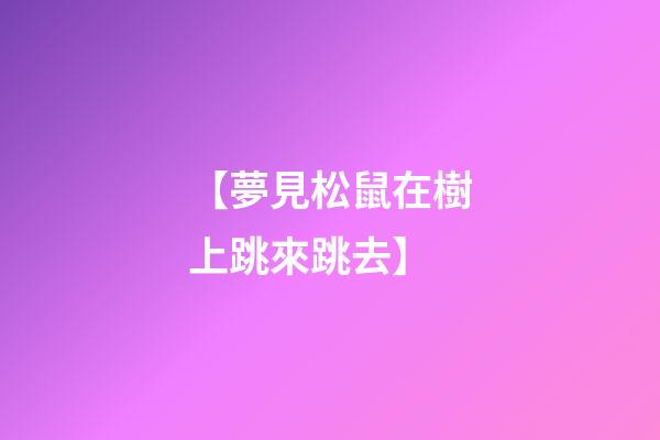 【夢見松鼠在樹上跳來跳去】
