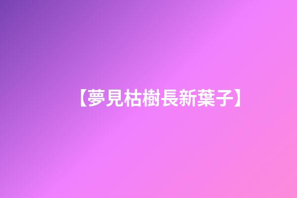 【夢見枯樹長新葉子】