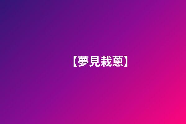 【夢見栽蔥】