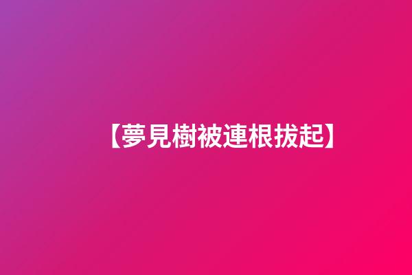 【夢見樹被連根拔起】