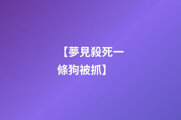 【夢見殺死一條狗被抓】