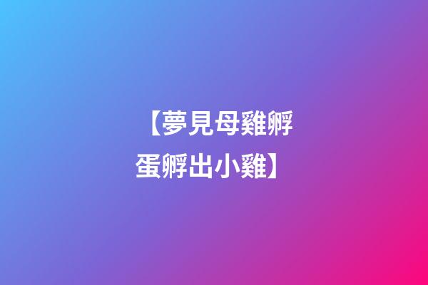 【夢見母雞孵蛋孵出小雞】
