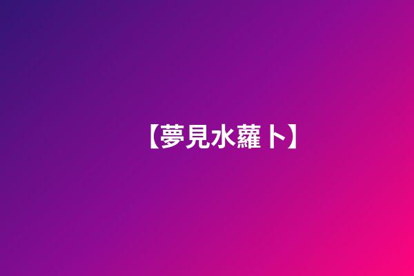 【夢見水蘿卜】