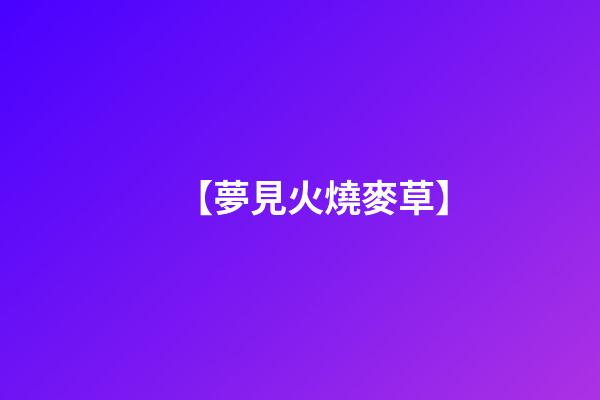 【夢見火燒麥草】