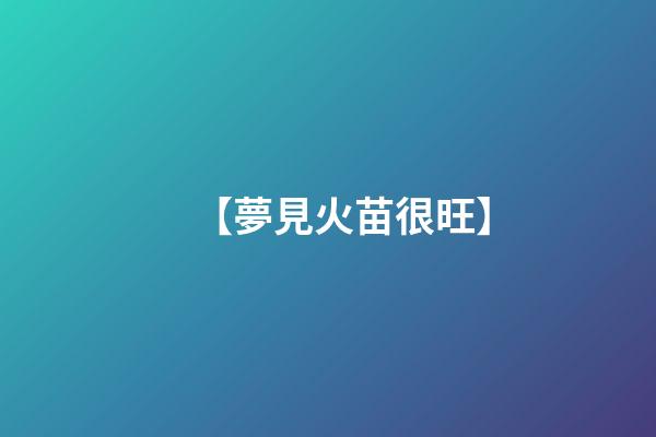 【夢見火苗很旺】