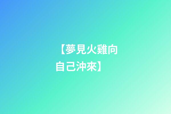【夢見火雞向自己沖來】