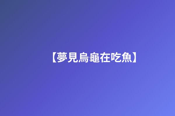 【夢見烏龜在吃魚】