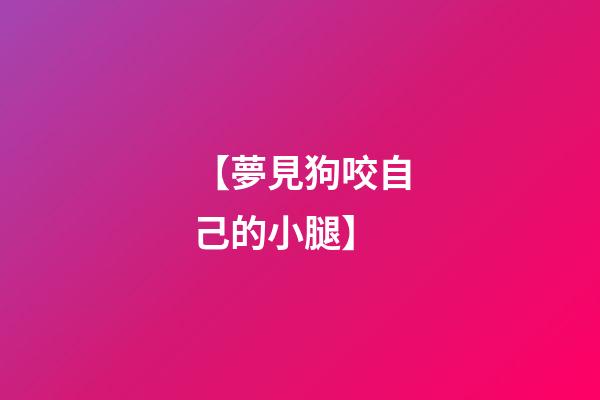 【夢見狗咬自己的小腿】