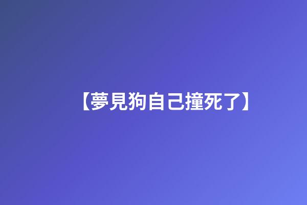 【夢見狗自己撞死了】