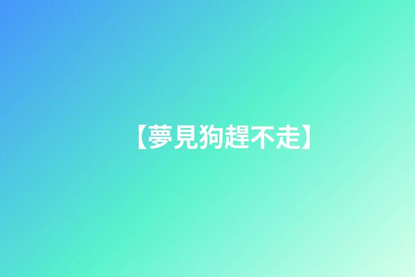 【夢見狗趕不走】
