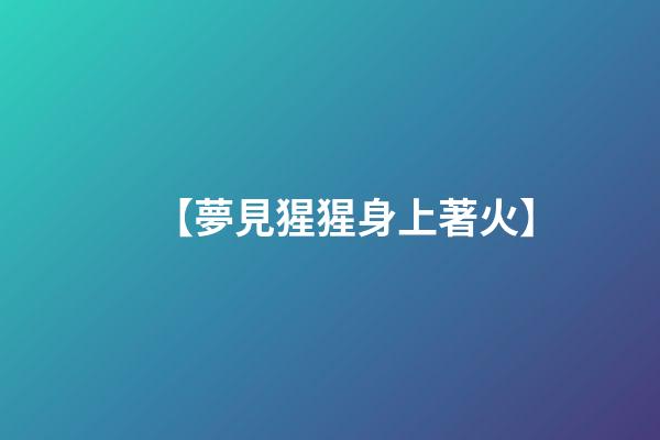 【夢見猩猩身上著火】