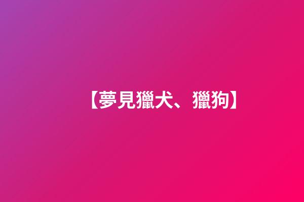 【夢見獵犬、獵狗】