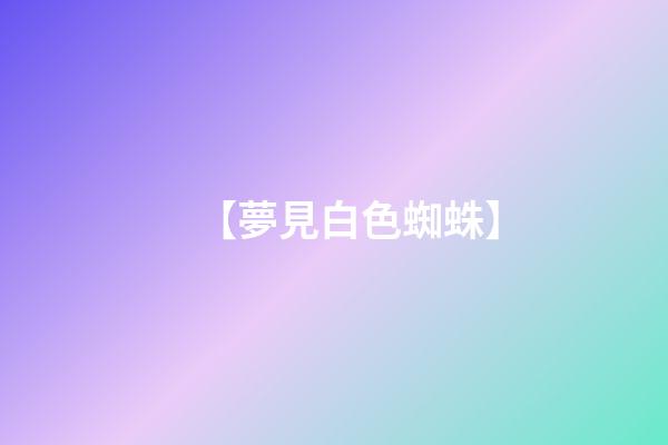 【夢見白色蜘蛛】