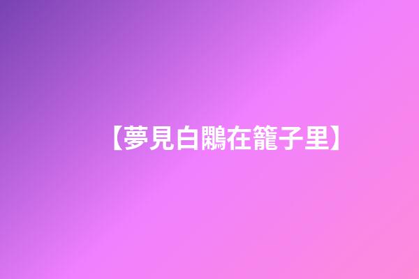 【夢見白鷴在籠子里】