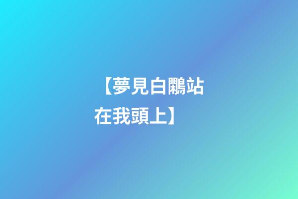 【夢見白鷴站在我頭上】