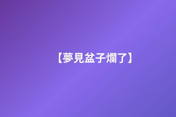 【夢見盆子爛了】