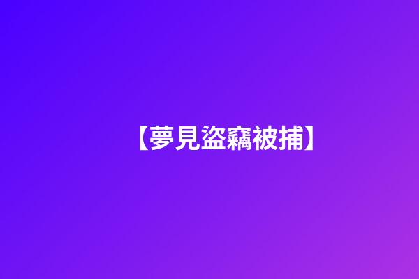 【夢見盜竊被捕】
