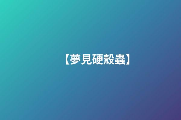 【夢見硬殼蟲】