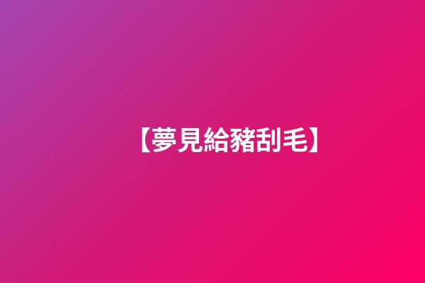 【夢見給豬刮毛】
