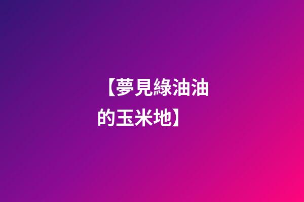 【夢見綠油油的玉米地】
