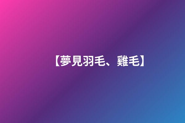 【夢見羽毛、雞毛】