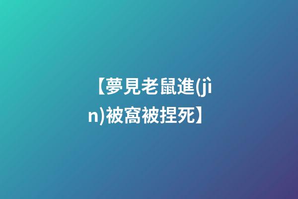 【夢見老鼠進(jìn)被窩被捏死】