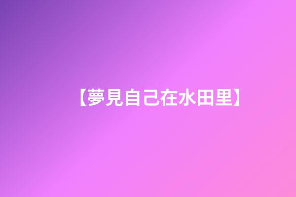【夢見自己在水田里】
