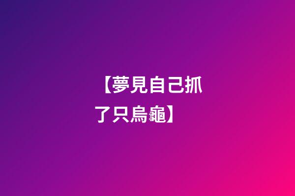 【夢見自己抓了只烏龜】