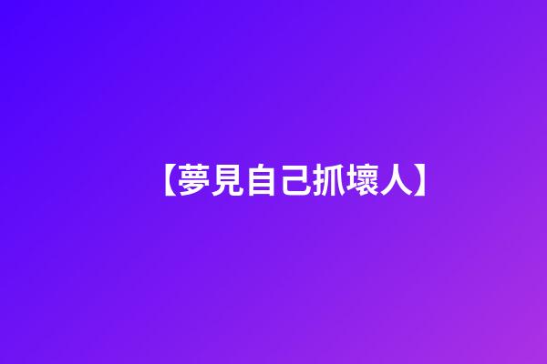 【夢見自己抓壞人】