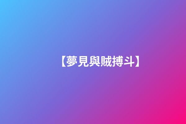【夢見與賊搏斗】