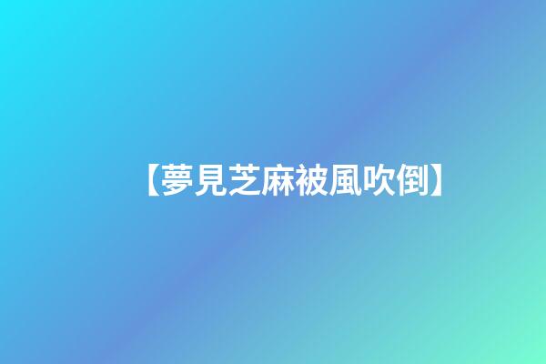 【夢見芝麻被風吹倒】