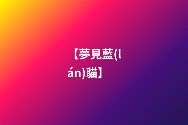 【夢見藍(lán)貓】