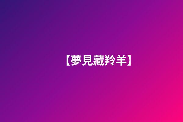 【夢見藏羚羊】