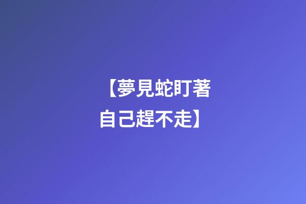 【夢見蛇盯著自己趕不走】