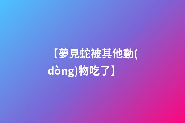 【夢見蛇被其他動(dòng)物吃了】