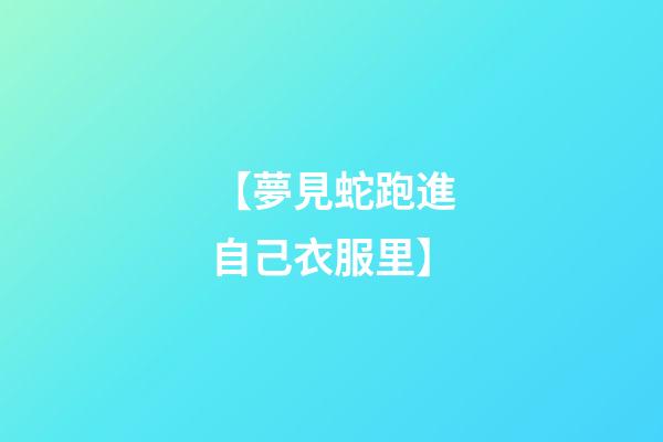 【夢見蛇跑進自己衣服里】