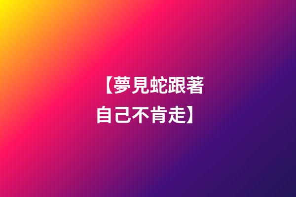 【夢見蛇跟著自己不肯走】