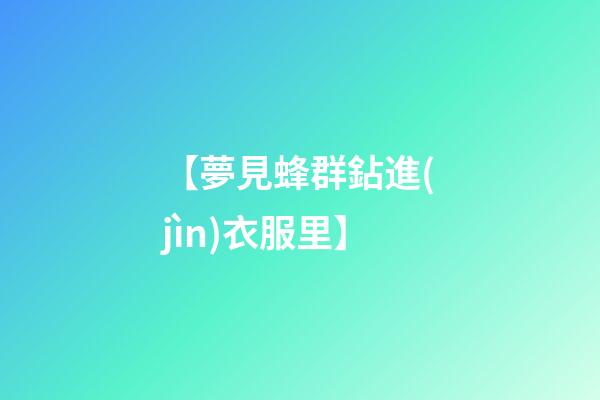 【夢見蜂群鉆進(jìn)衣服里】