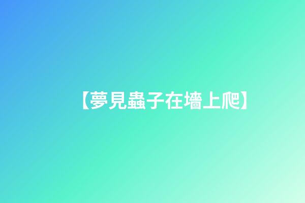 【夢見蟲子在墻上爬】
