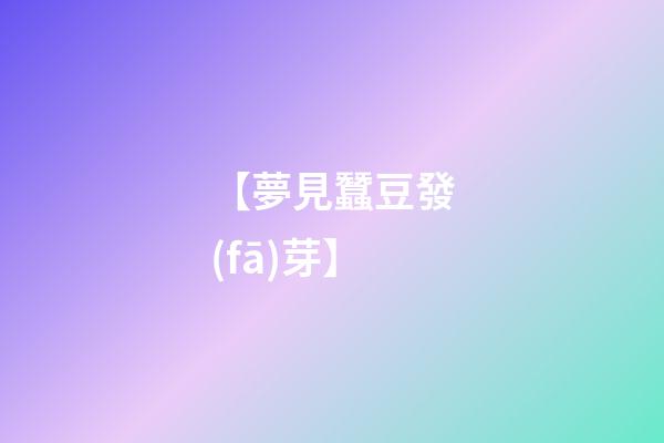 【夢見蠶豆發(fā)芽】