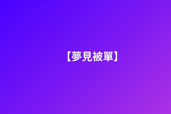 【夢見被單】