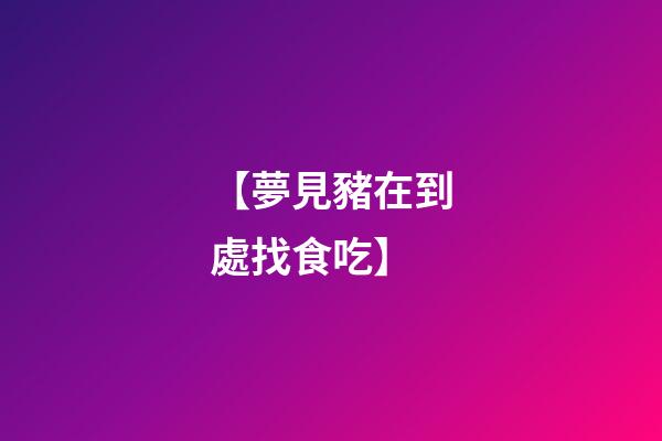 【夢見豬在到處找食吃】